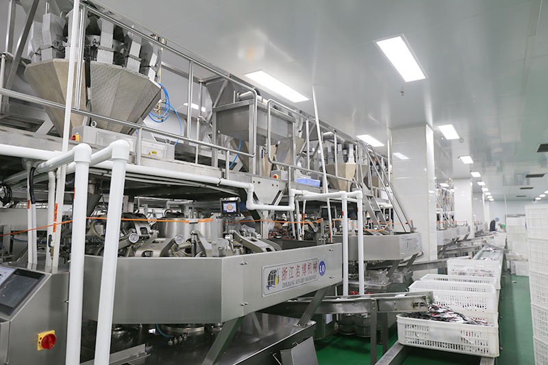 麻豆视频网站在线观看风采